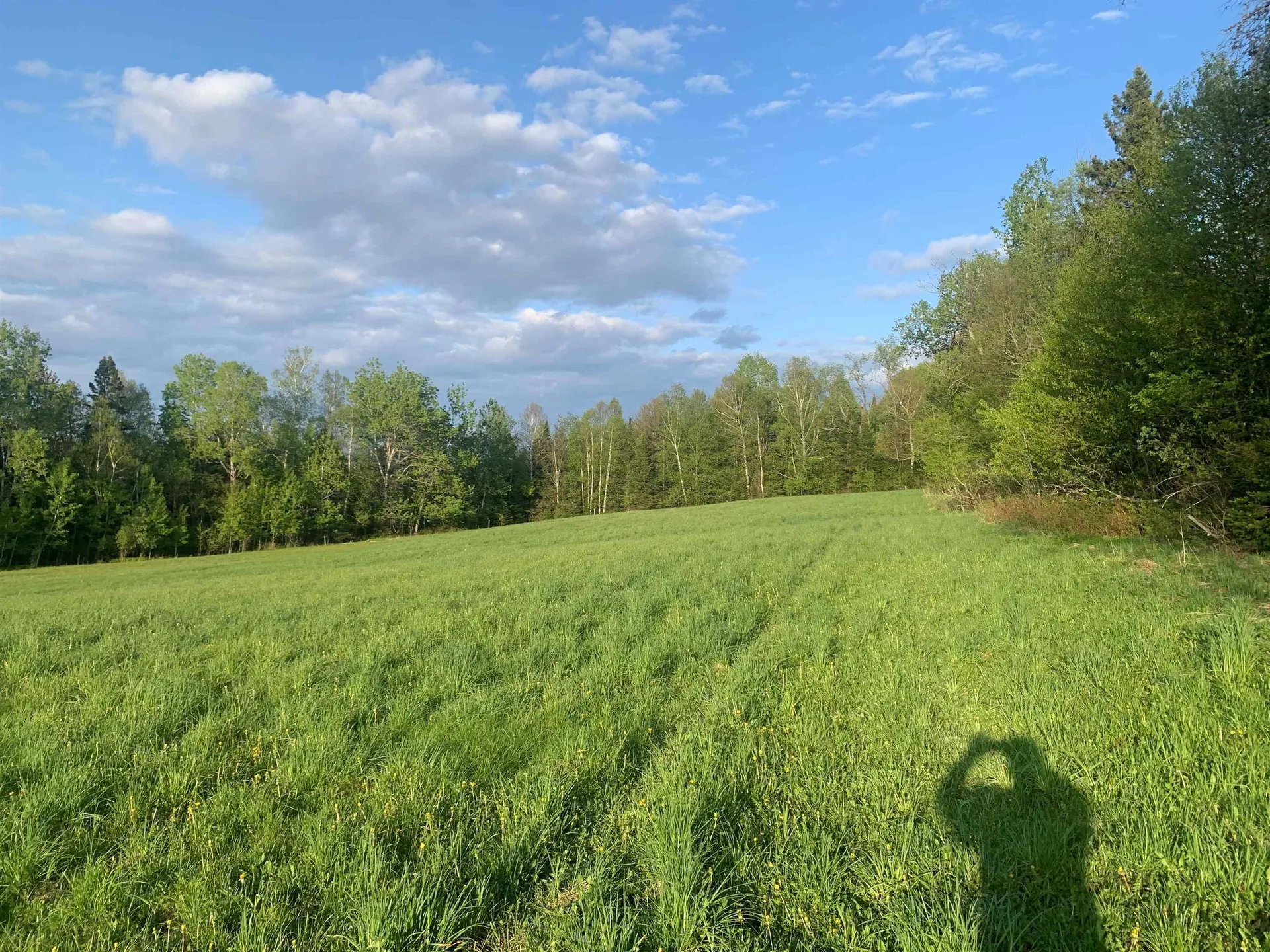 Lot 3 Titus Hill Road Colebrook NH 03576