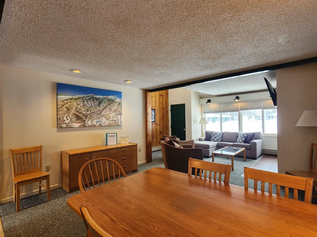 261 Village Green Drive Stowe VT 05672