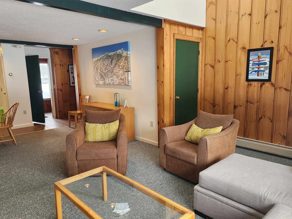 261 Village Green Drive Stowe VT 05672