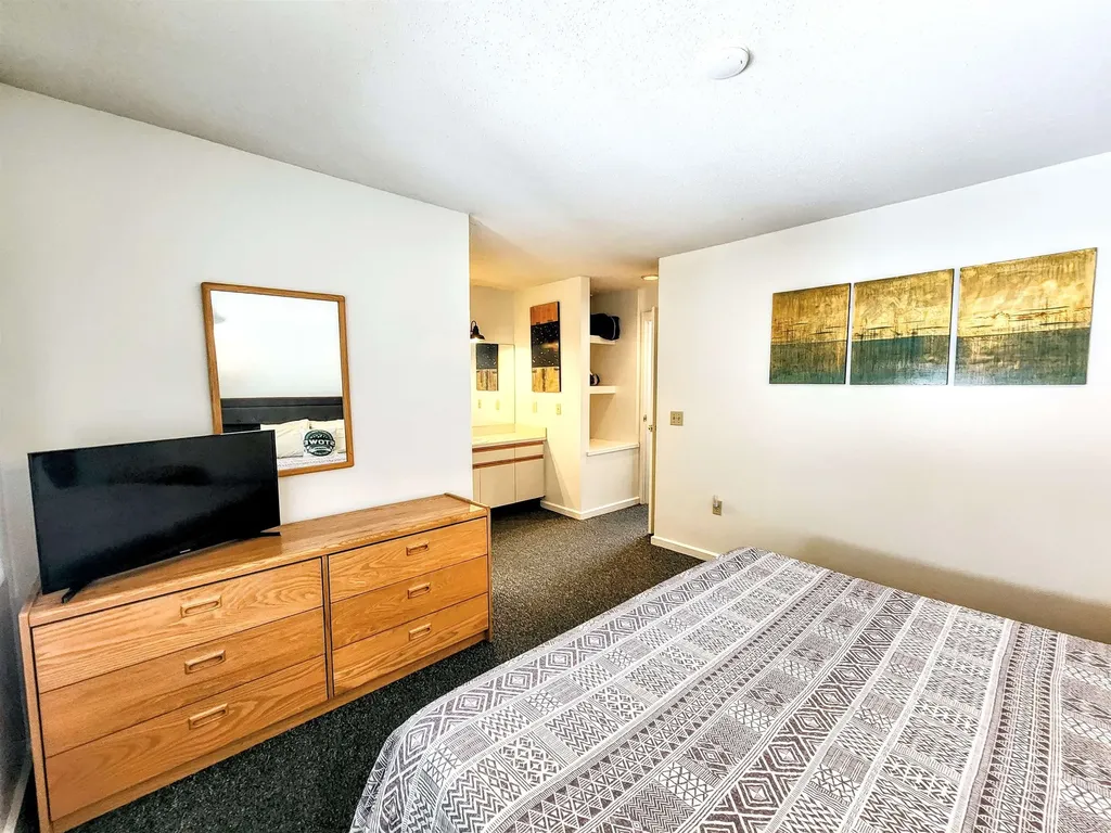 261 Village Green Drive Stowe VT 05672