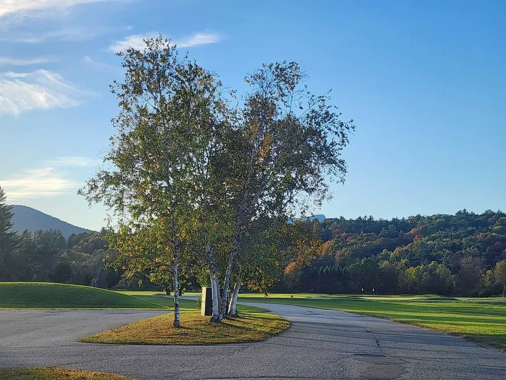 261 Village Green Drive Stowe VT 05672