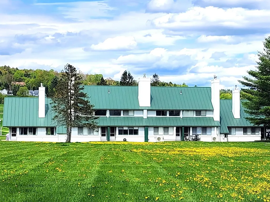 261 Village Green Drive Stowe VT 05672