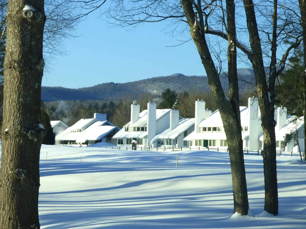 261 Village Green Drive Stowe VT 05672