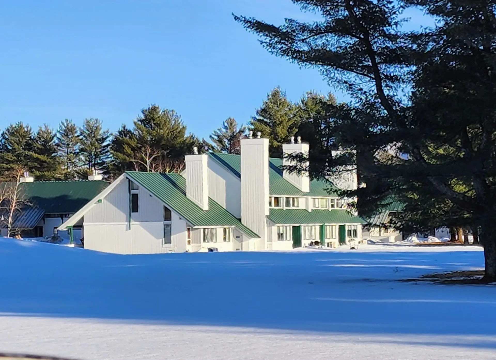 261 Village Green Drive Stowe VT 05672