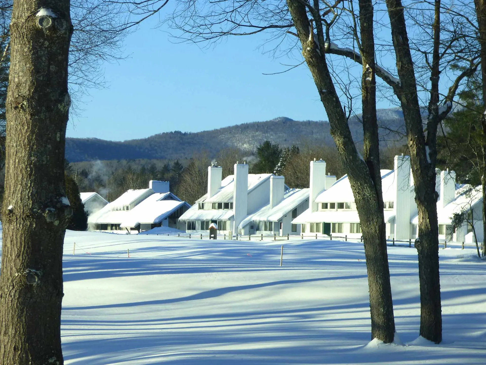 261 Village Green Drive Stowe VT 05672