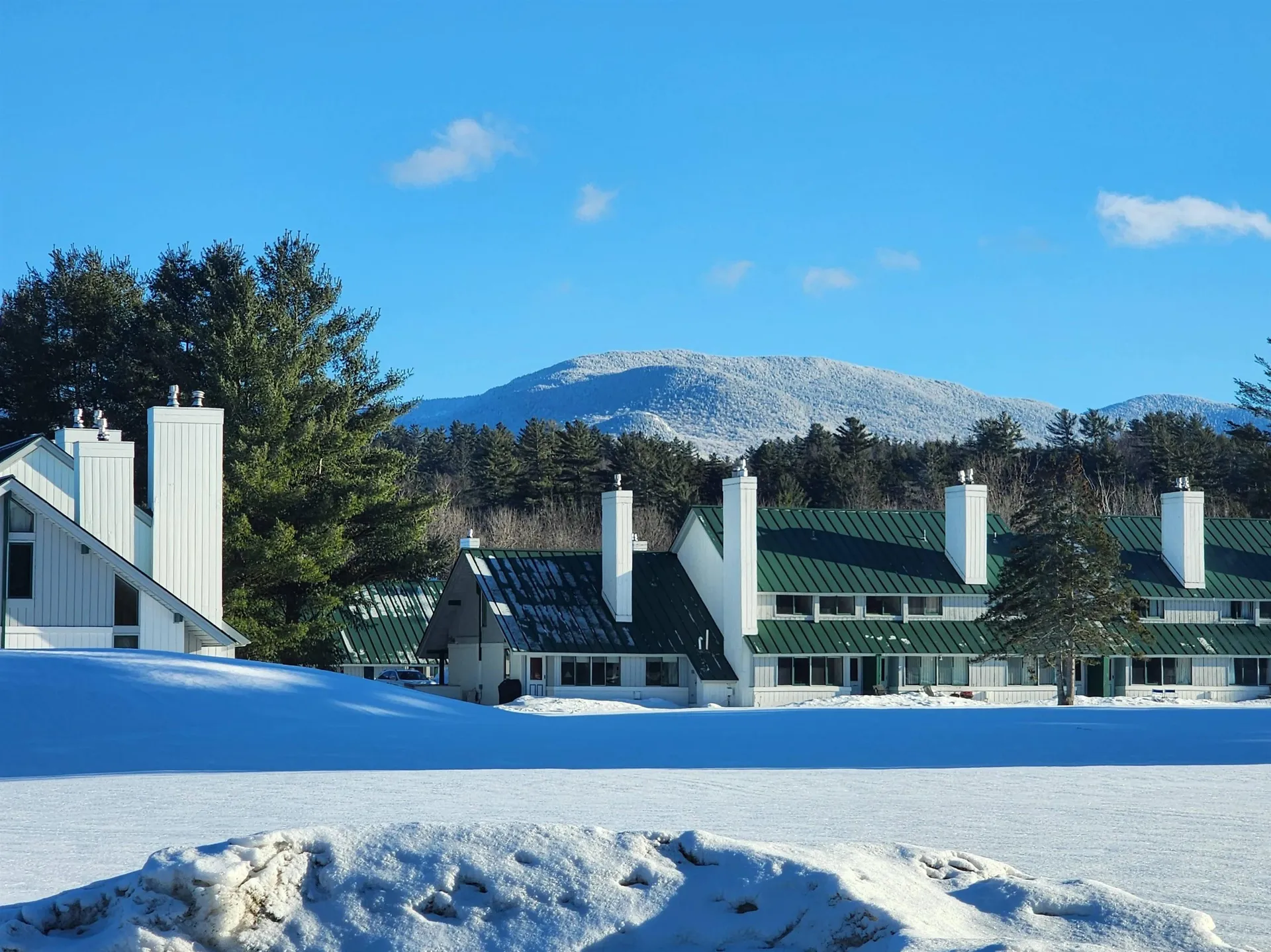 261 Village Green Drive Stowe VT 05672