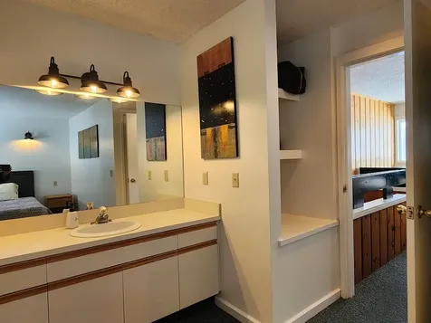 261 Village Green Drive Stowe VT 05672