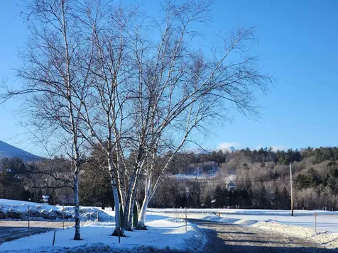 261 Village Green Drive Stowe VT 05672