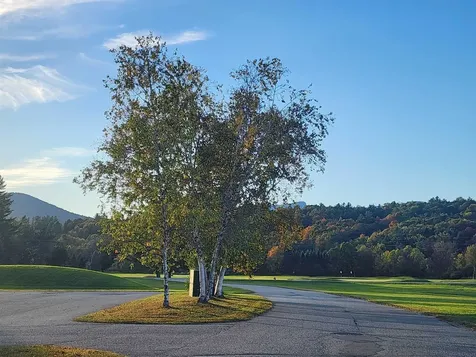 261 Village Green Drive Stowe VT 05672