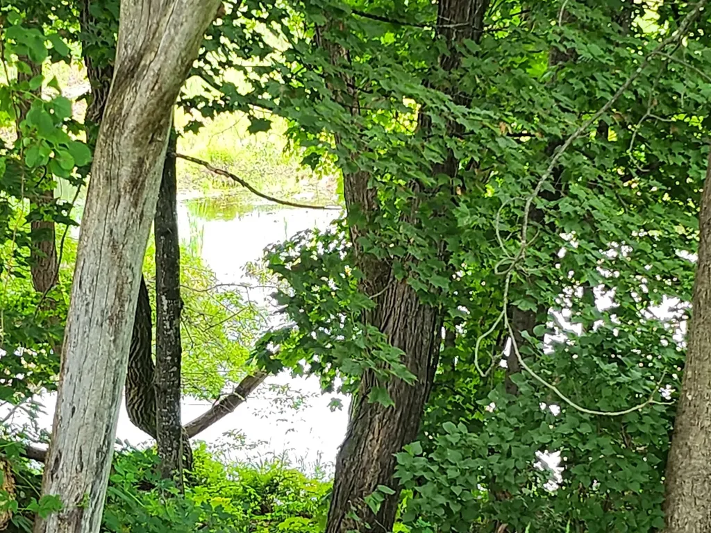 126 Meredith Center Road Meredith NH 03253