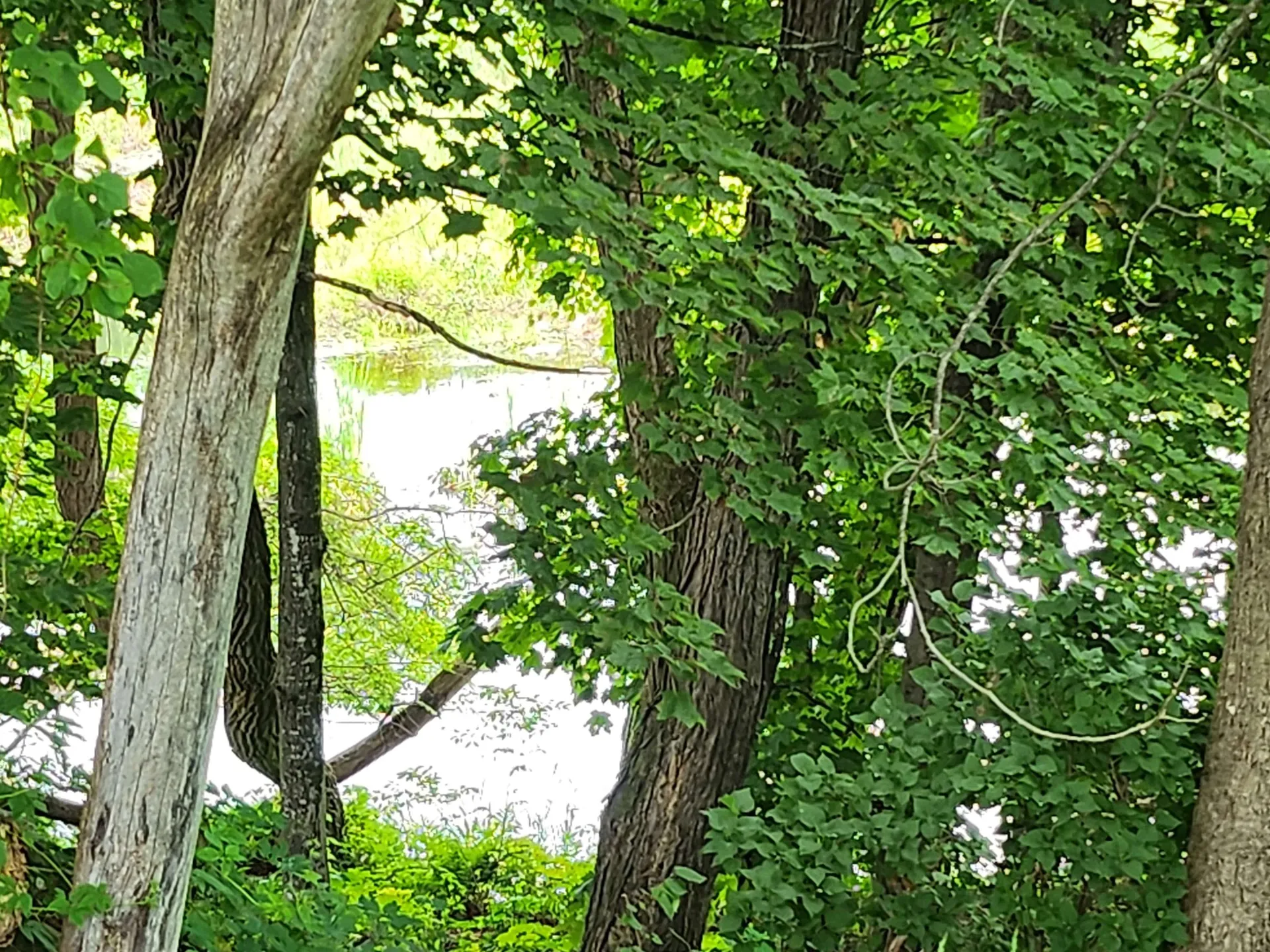 126 Meredith Center Road Meredith NH 03253