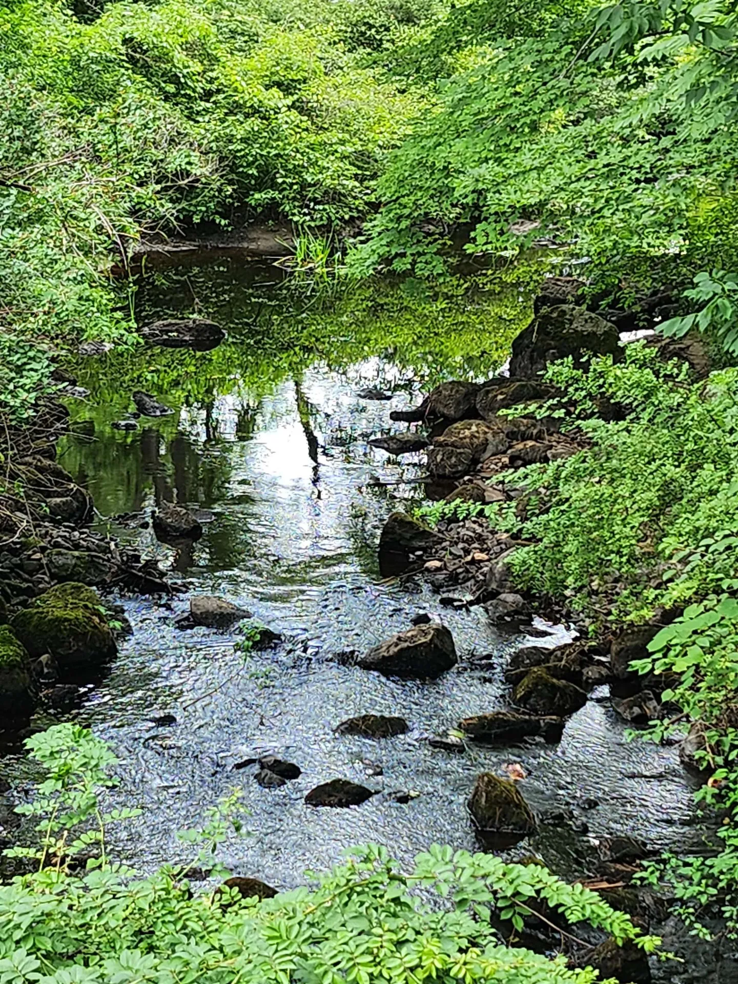 126 Meredith Center Road Meredith NH 03253