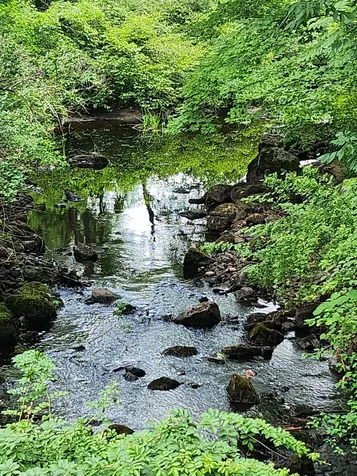 126 Meredith Center Road Meredith NH 03253