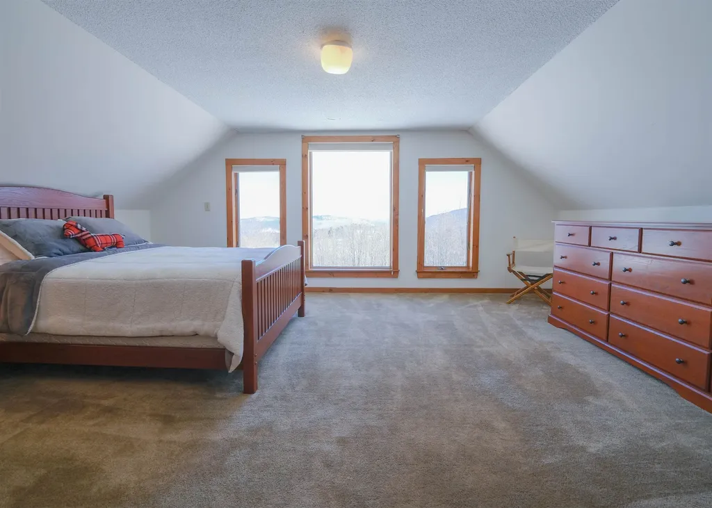 306 Hedgehog Hill Road N Mount Holly VT 05758