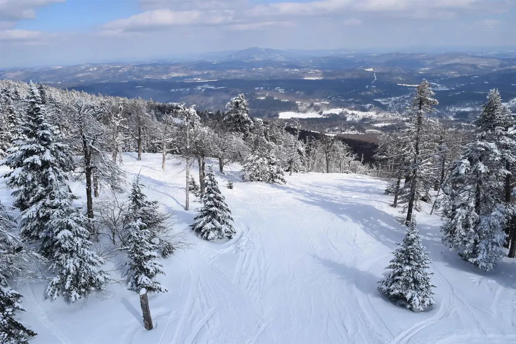 306 Hedgehog Hill Road N Mount Holly VT 05758