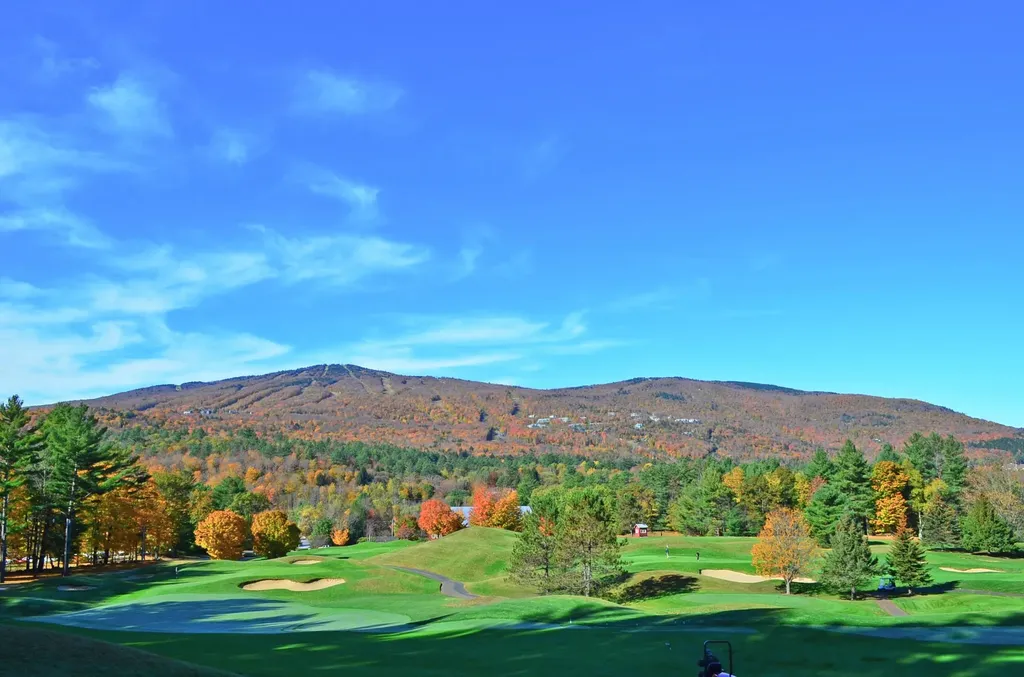 306 Hedgehog Hill Road N Mount Holly VT 05758