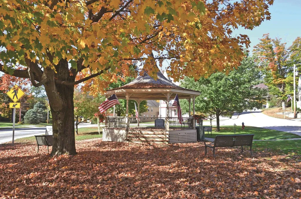 306 Hedgehog Hill Road N Mount Holly VT 05758