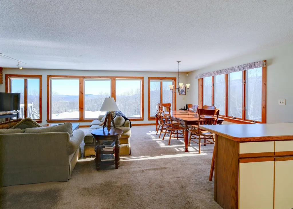 306 Hedgehog Hill Road N Mount Holly VT 05758