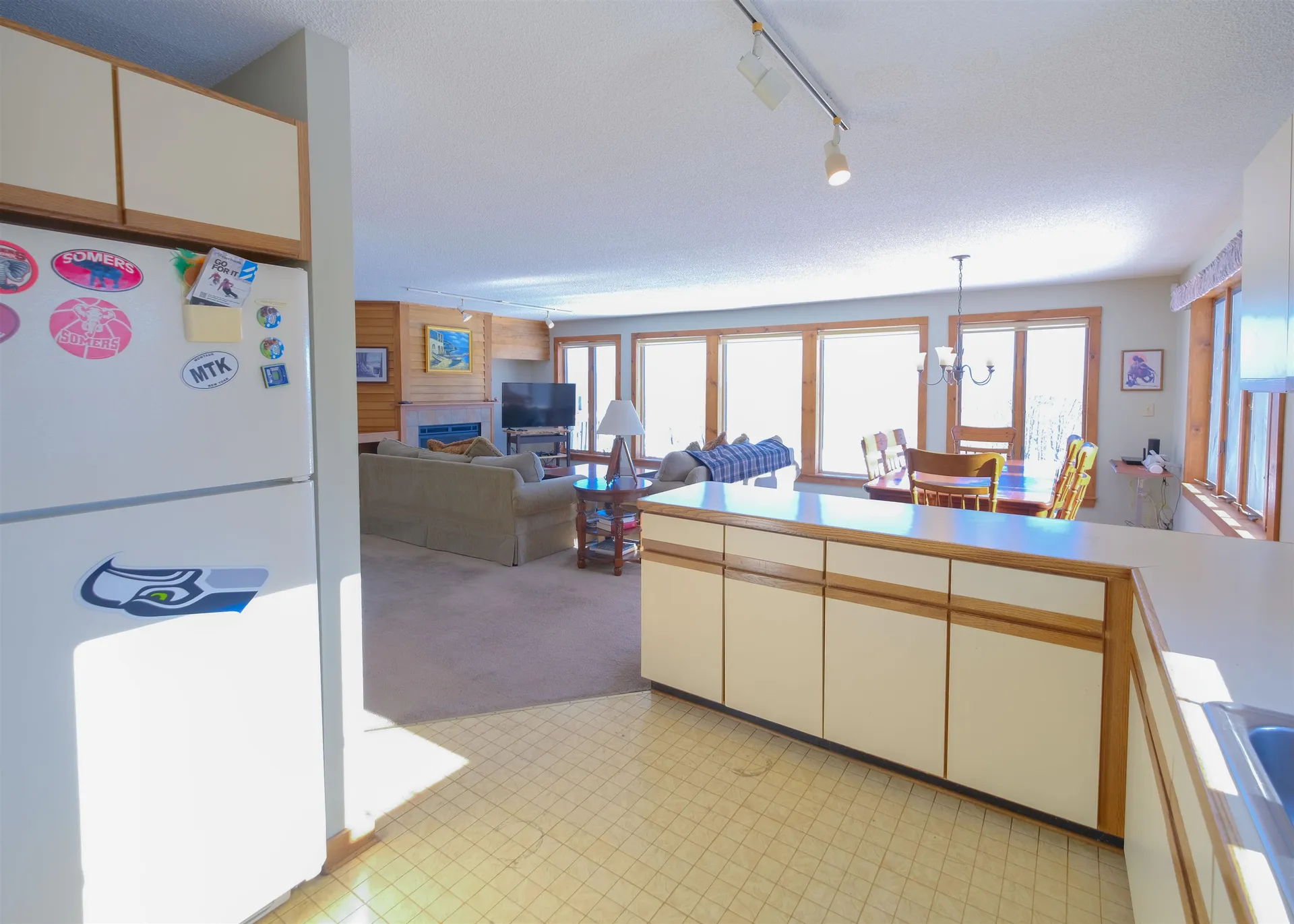 306 Hedgehog Hill Road N Mount Holly VT 05758