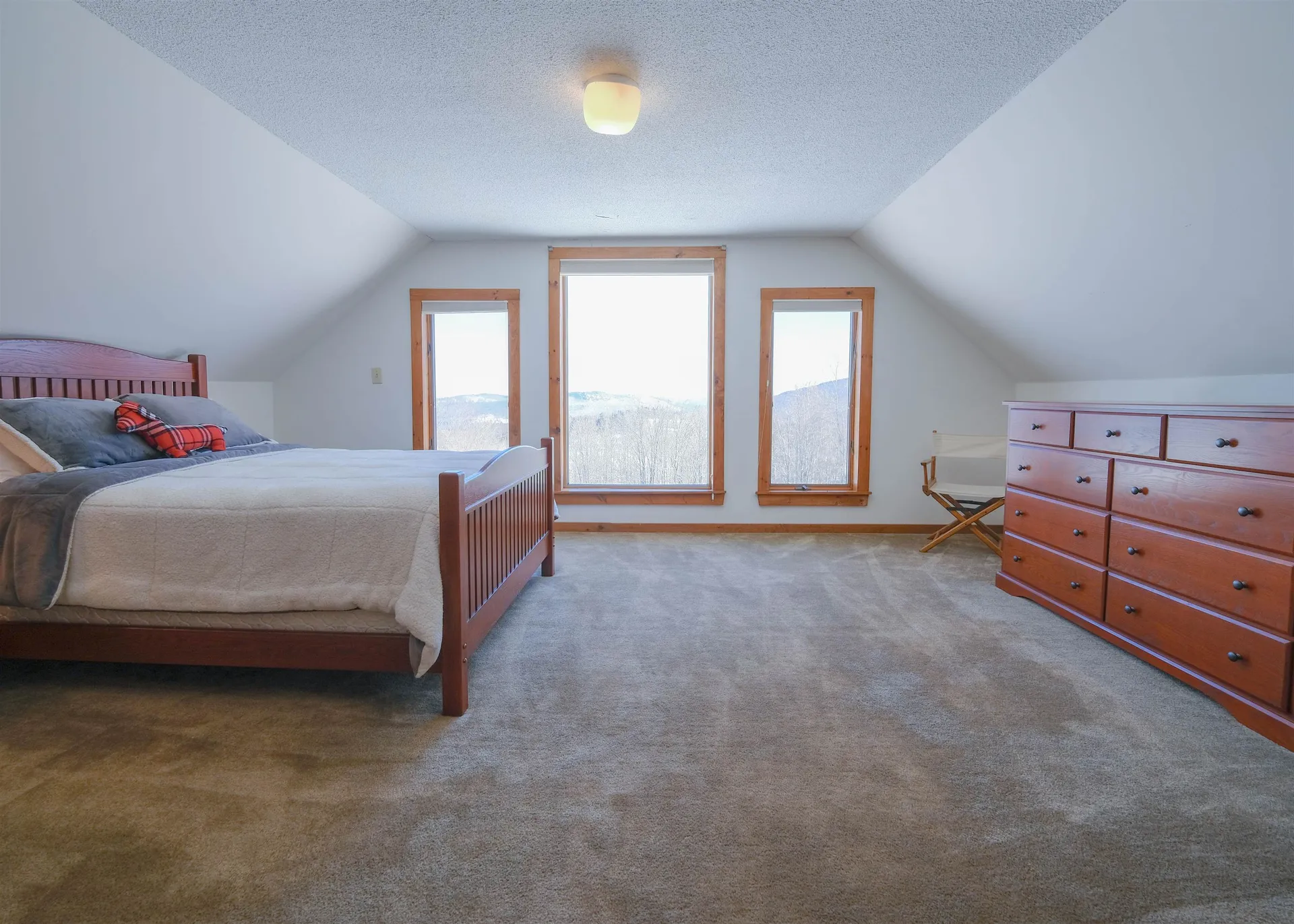 306 Hedgehog Hill Road N Mount Holly VT 05758