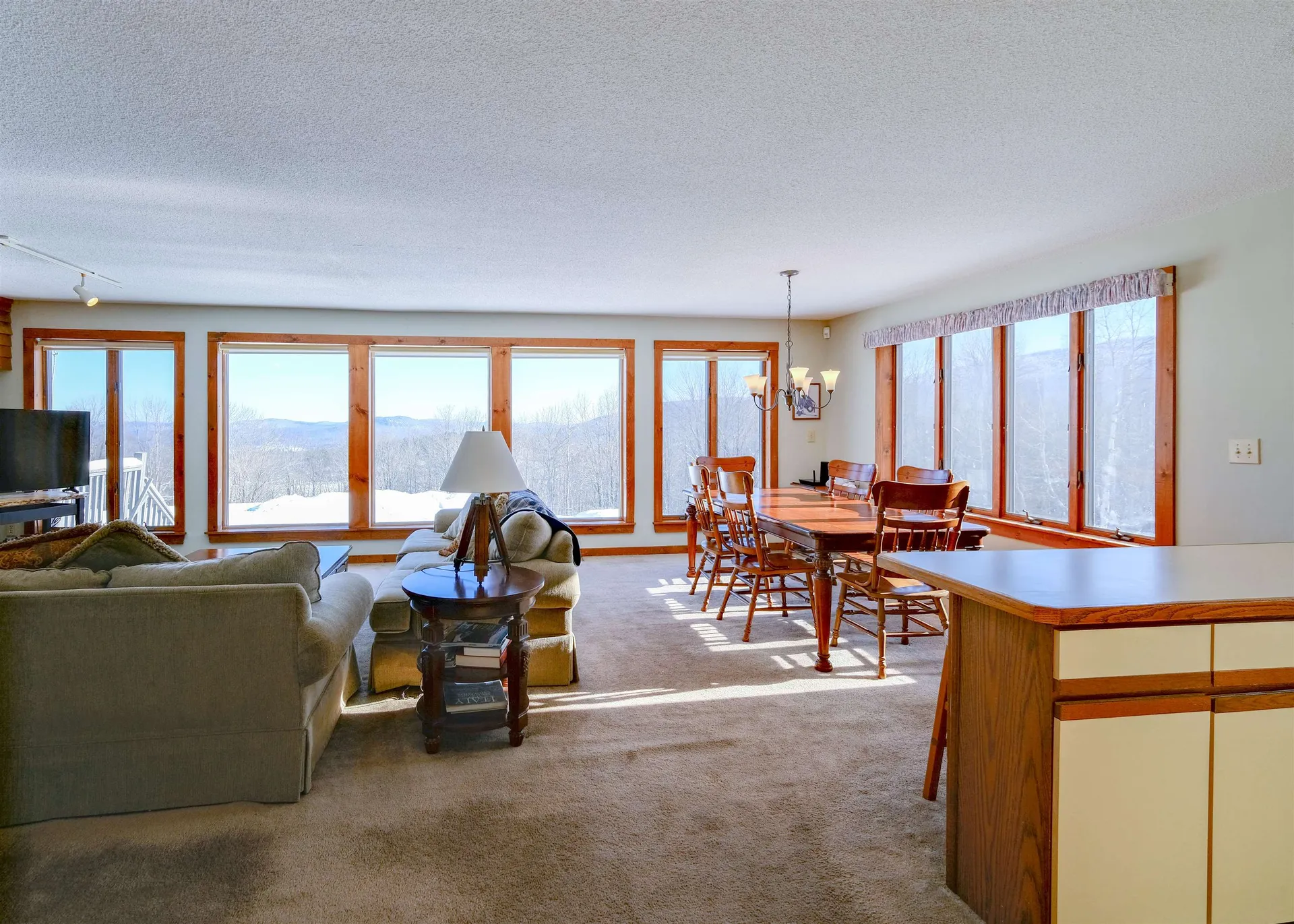 306 Hedgehog Hill Road N Mount Holly VT 05758