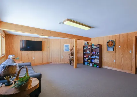 306 Hedgehog Hill Road N Mount Holly VT 05758