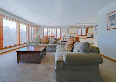 306 Hedgehog Hill Road N Mount Holly VT 05758