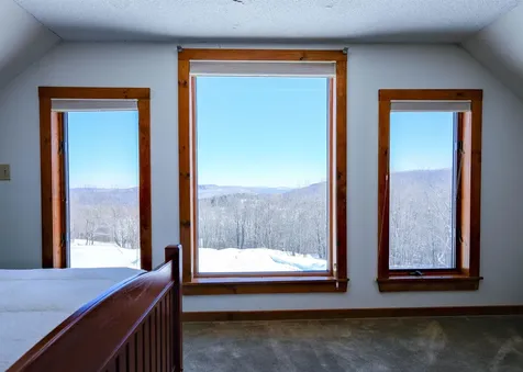 306 Hedgehog Hill Road N Mount Holly VT 05758