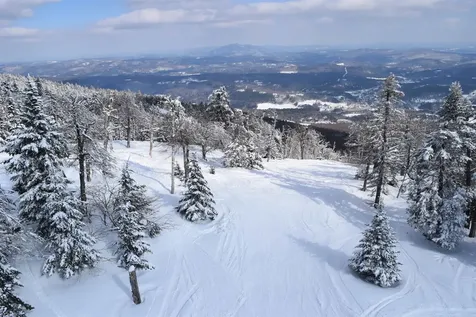 306 Hedgehog Hill Road N Mount Holly VT 05758