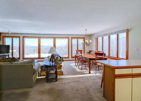 306 Hedgehog Hill Road N Mount Holly VT 05758