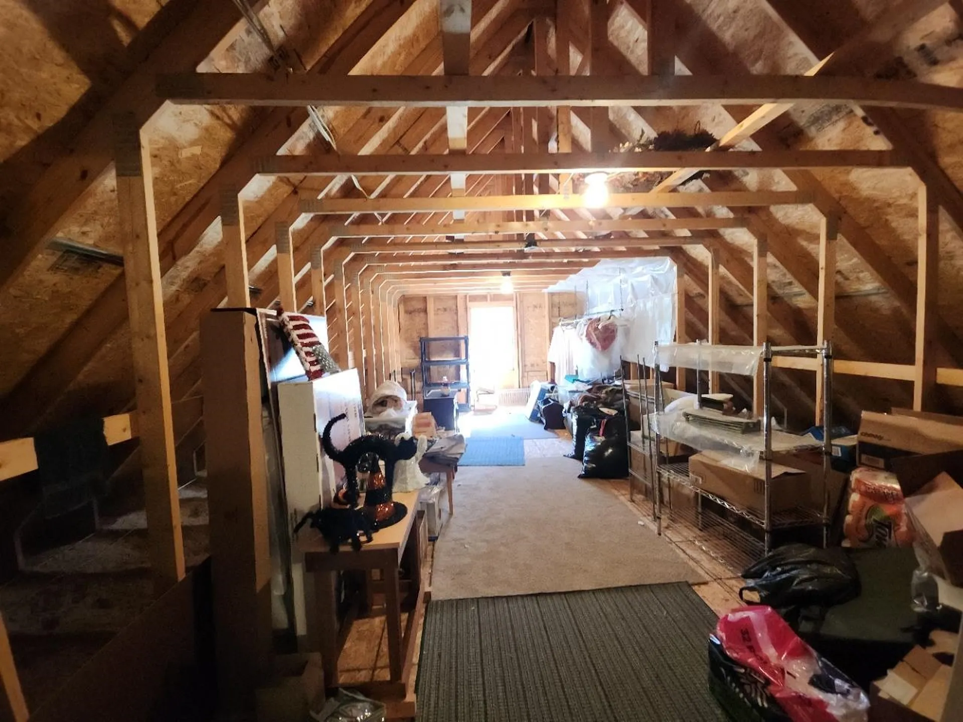 21 Sedlari Way Alton NH 03810