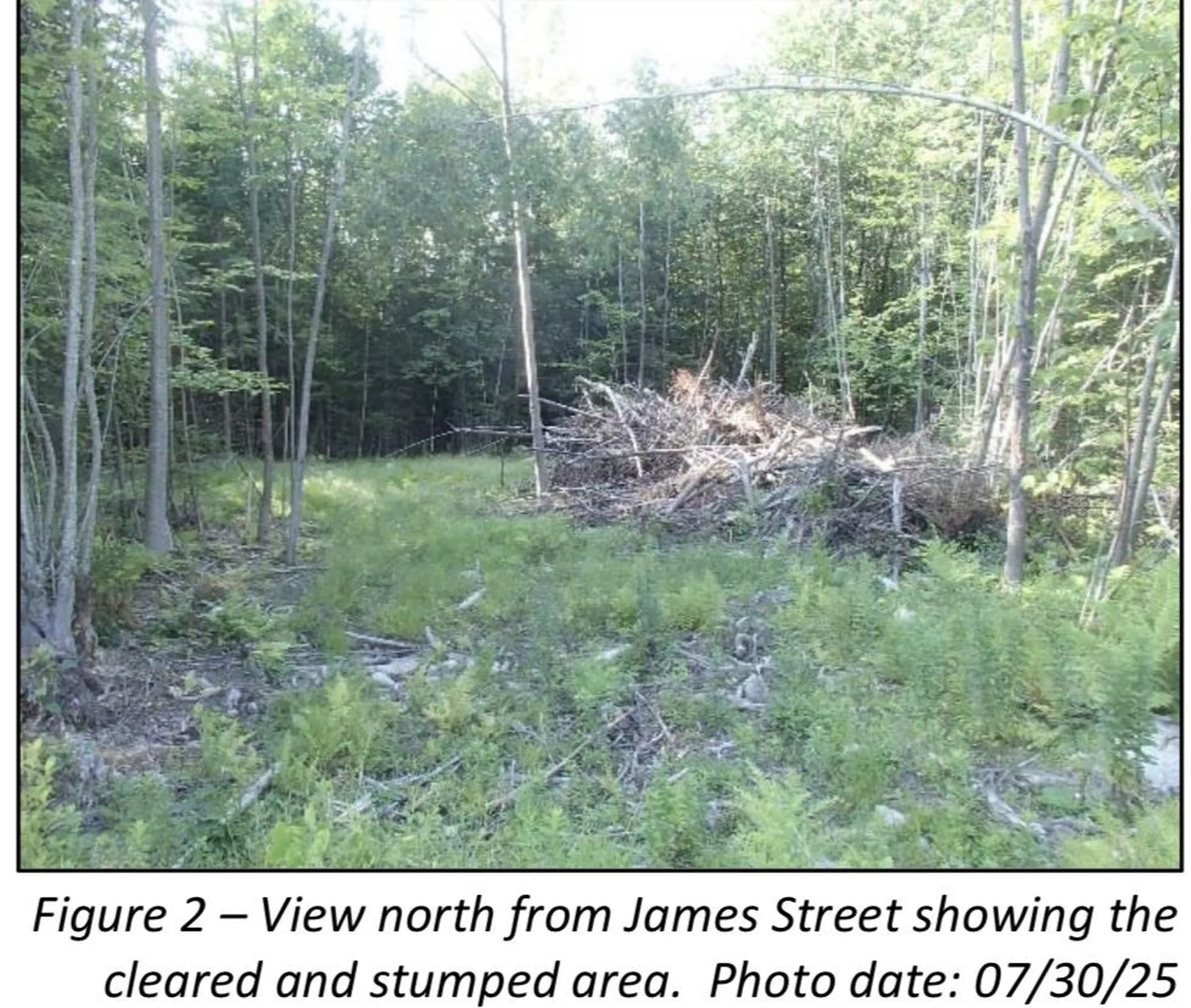 7 James Street Bethlehem NH 03574