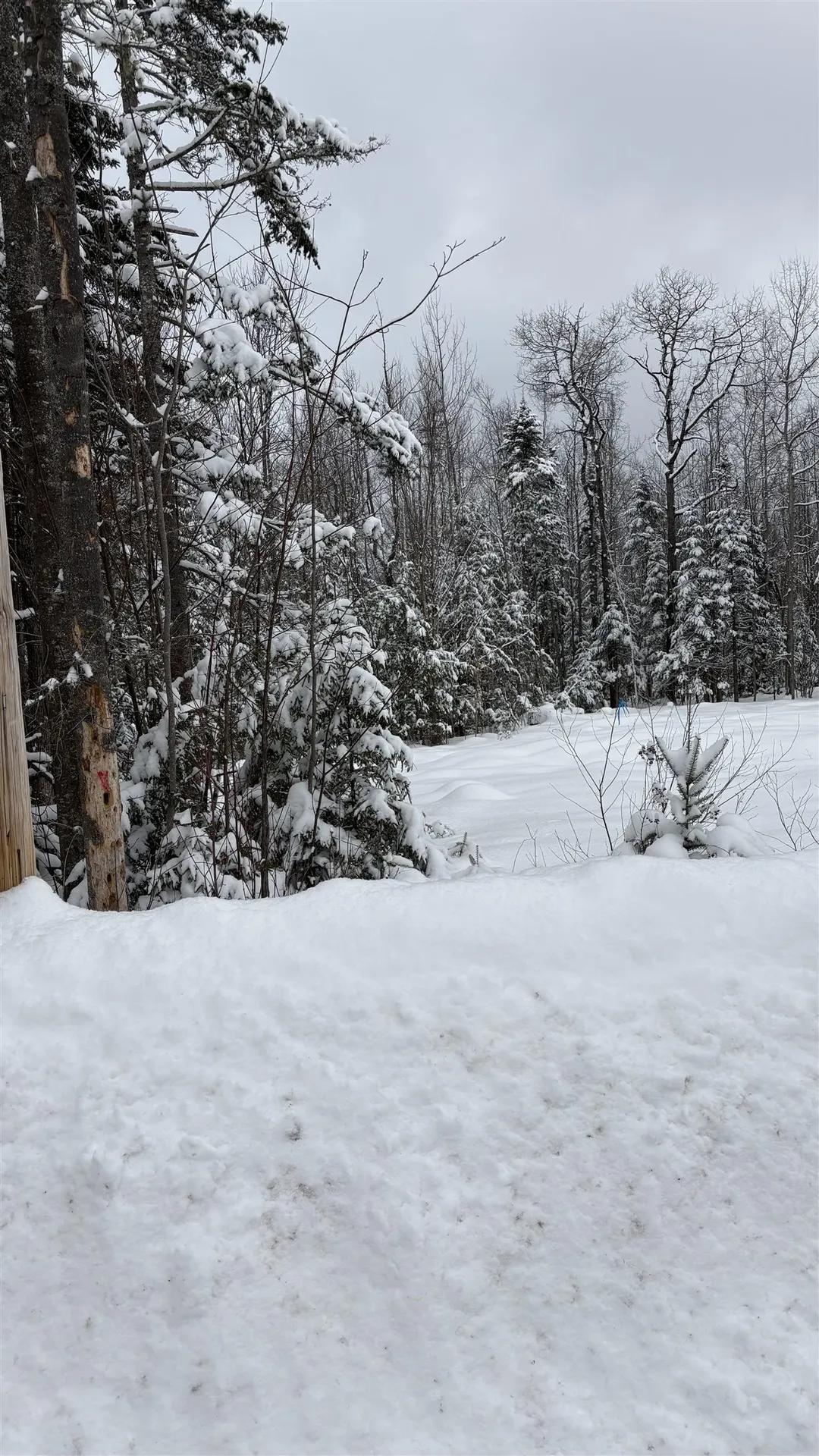 7 James Street Bethlehem NH 03574