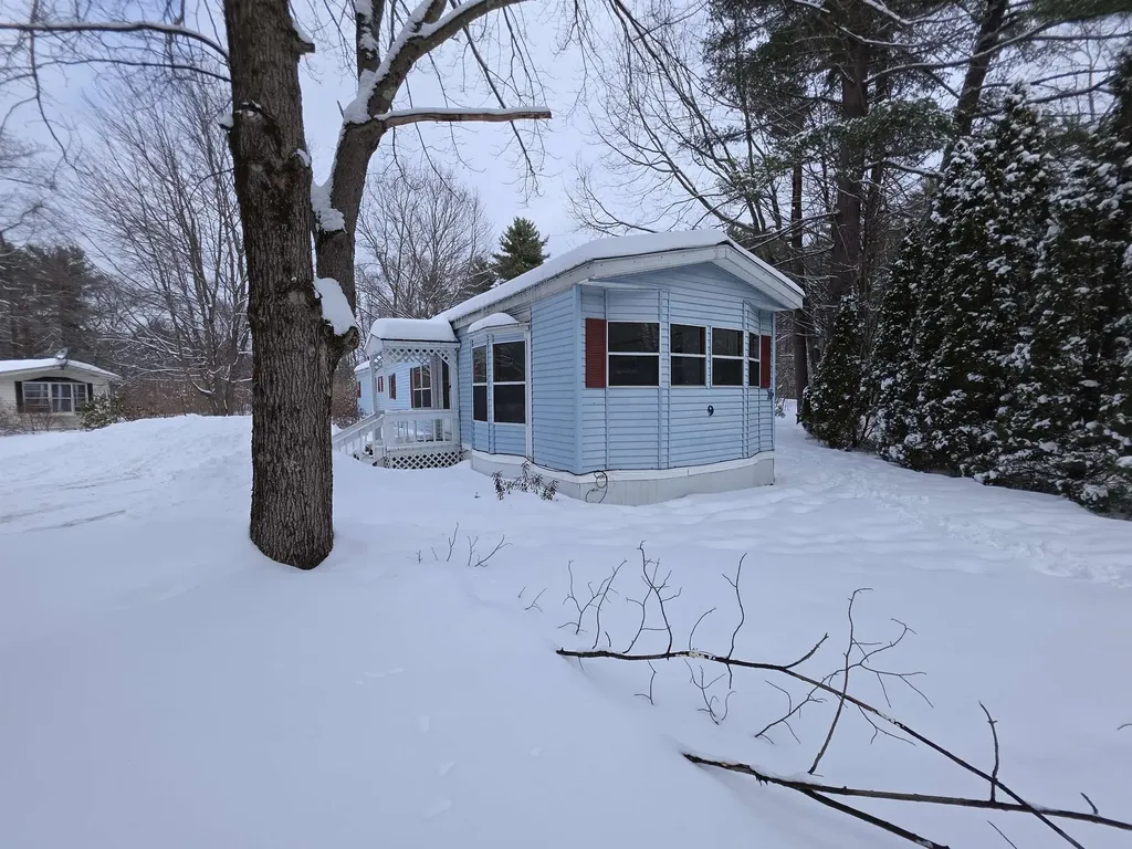 9 Wyman Road Deering NH 03244
