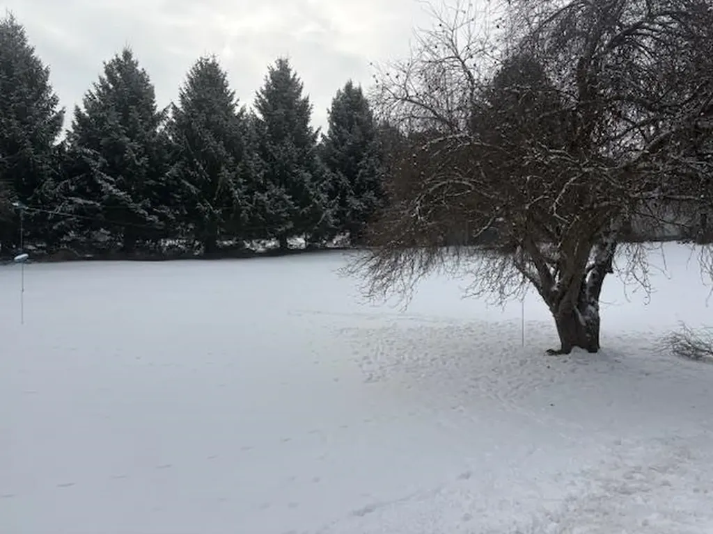 00 Tuttle Meadow Drive Rutland City VT 05701