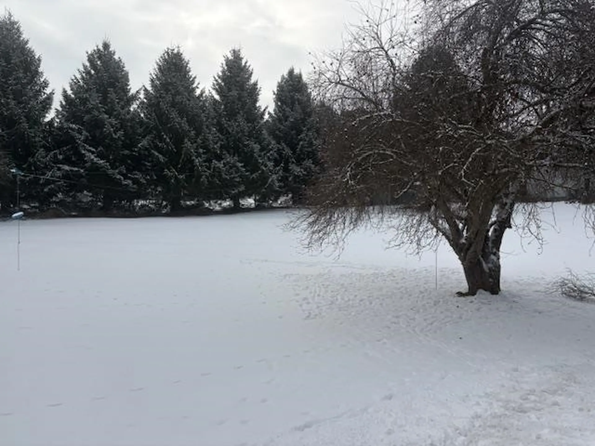 00 Tuttle Meadow Drive Rutland City VT 05701