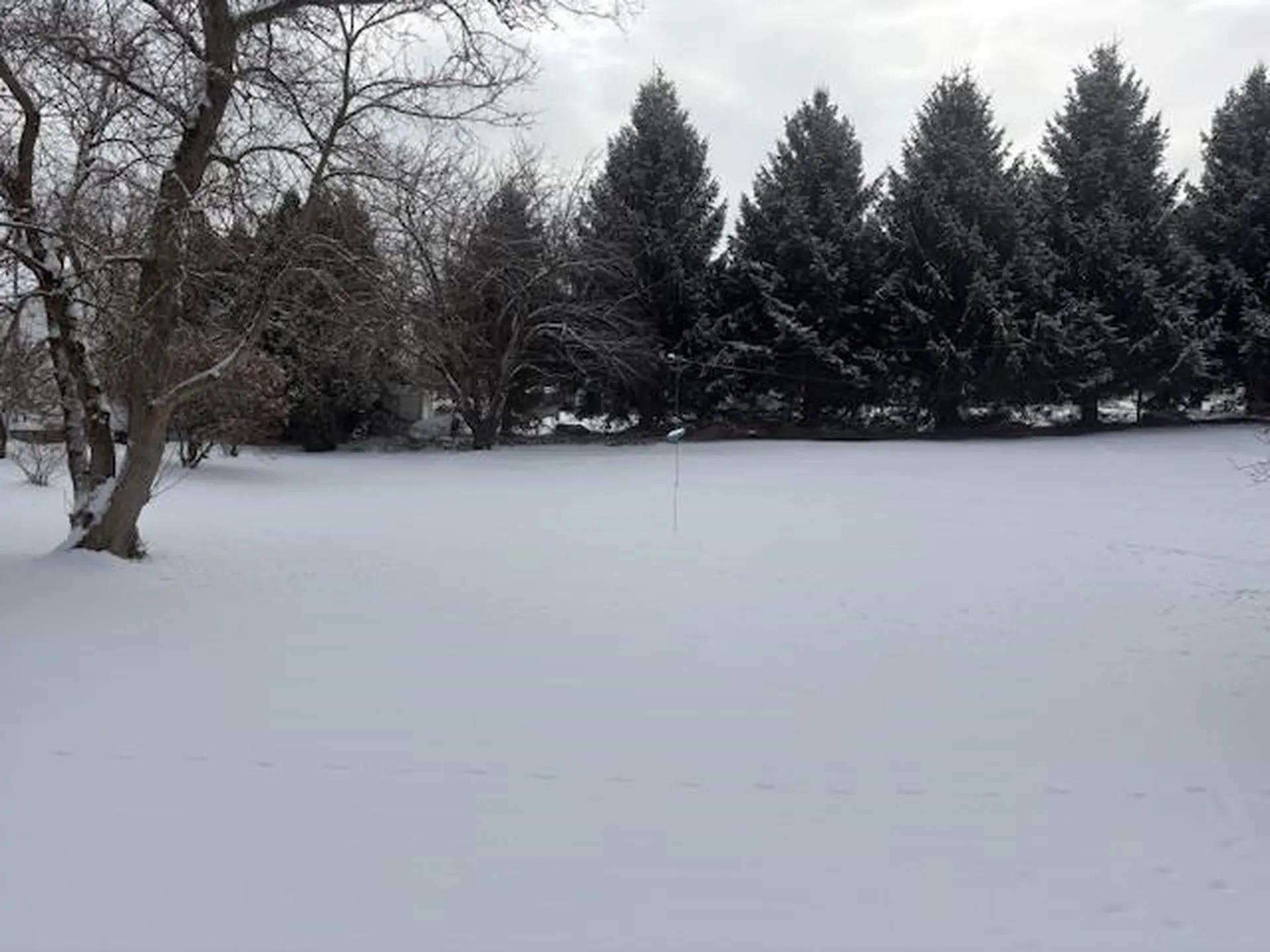 00 Tuttle Meadow Drive Rutland City VT 05701