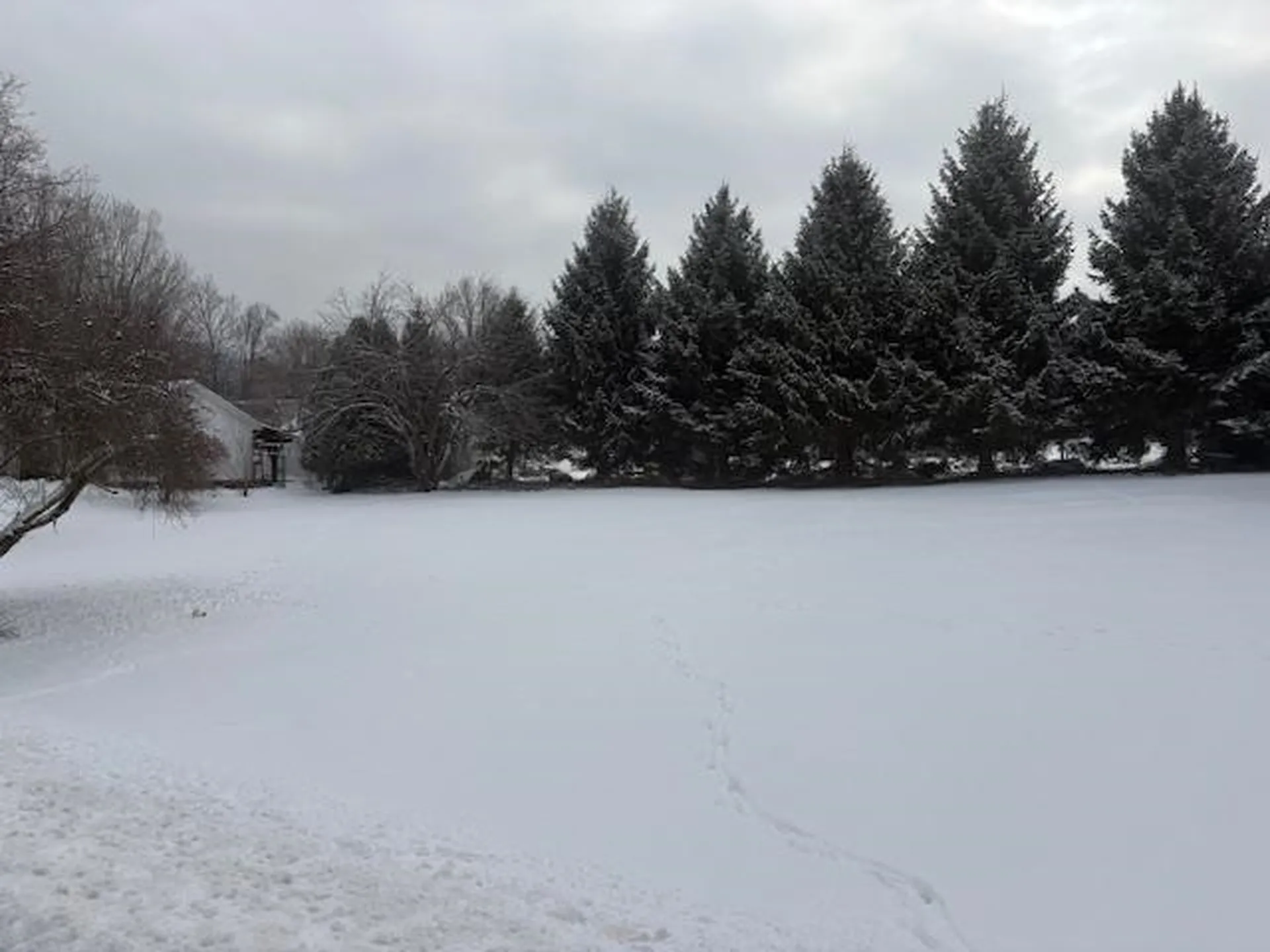 00 Tuttle Meadow Drive Rutland City VT 05701