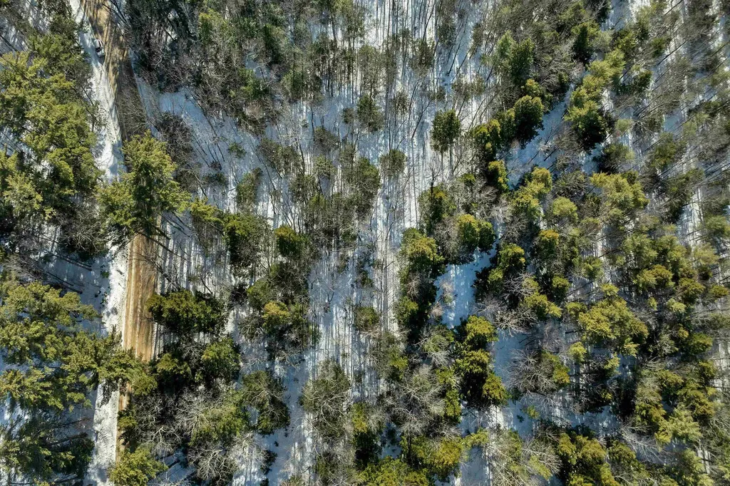 0 Burnham Road Freedom NH 03836