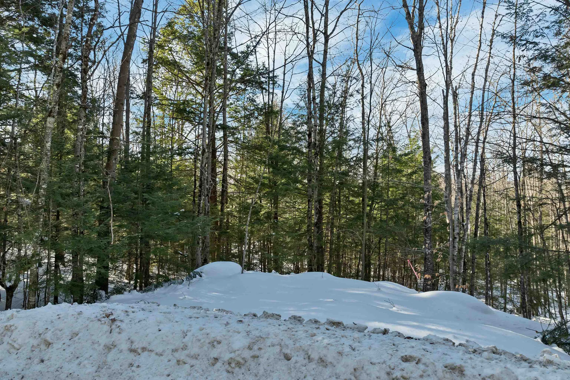 0 Burnham Road Freedom NH 03836