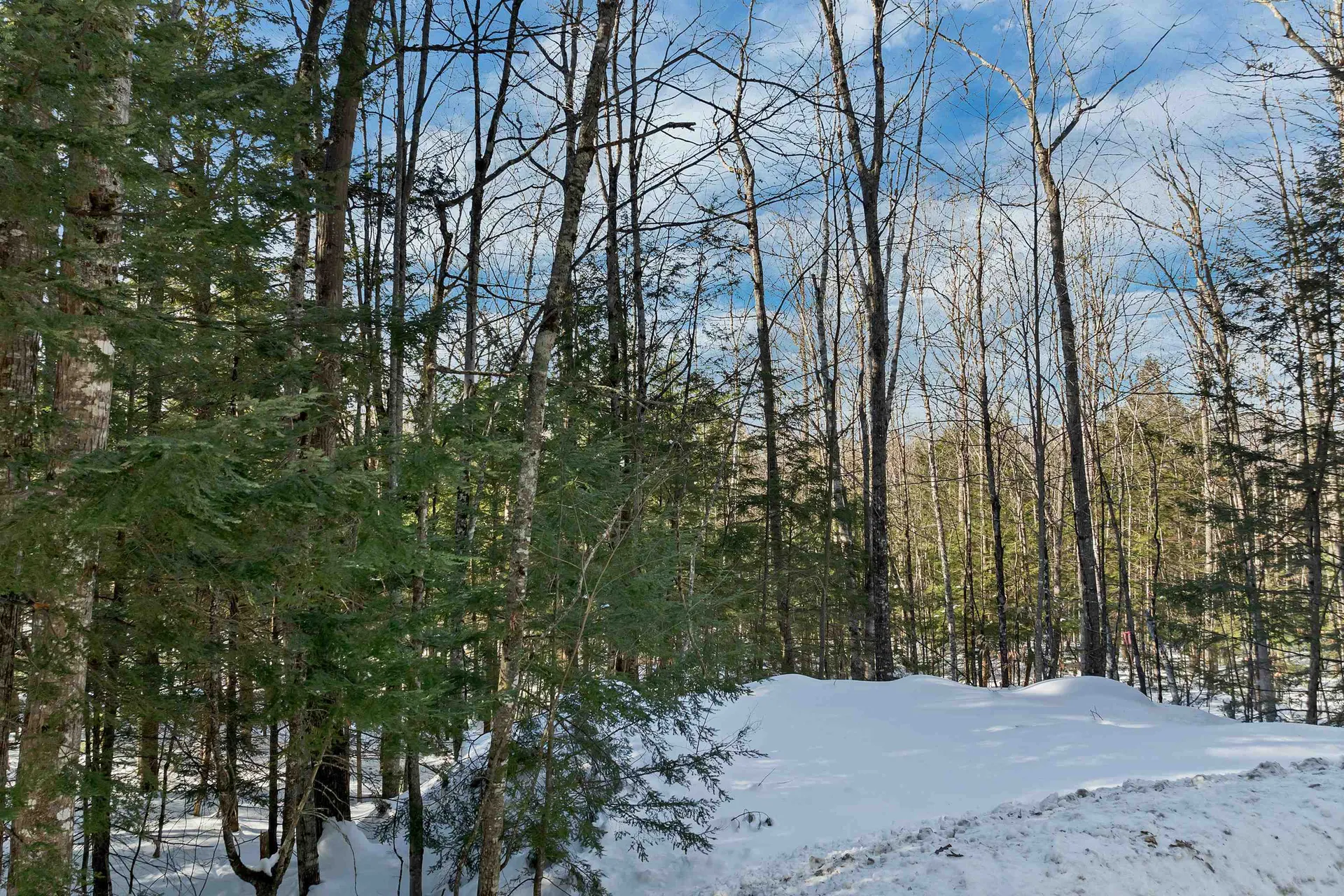 0 Burnham Road Freedom NH 03836