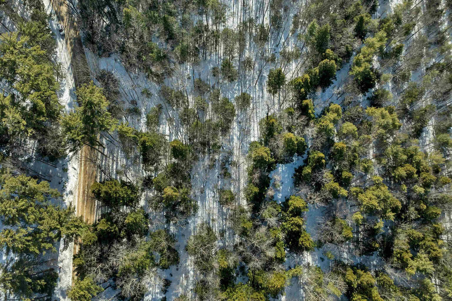 0 Burnham Road Freedom NH 03836