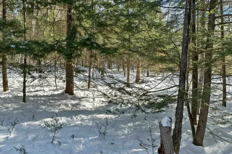 0 Burnham Road Freedom NH 03836