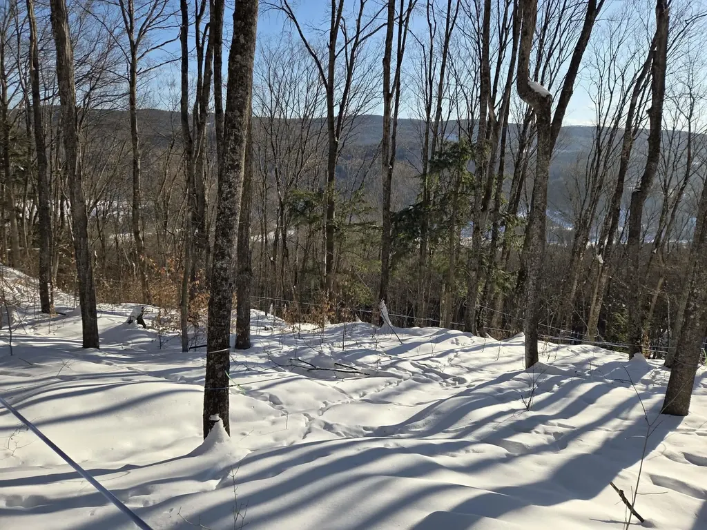 0 Route 66 Randolph VT 05060