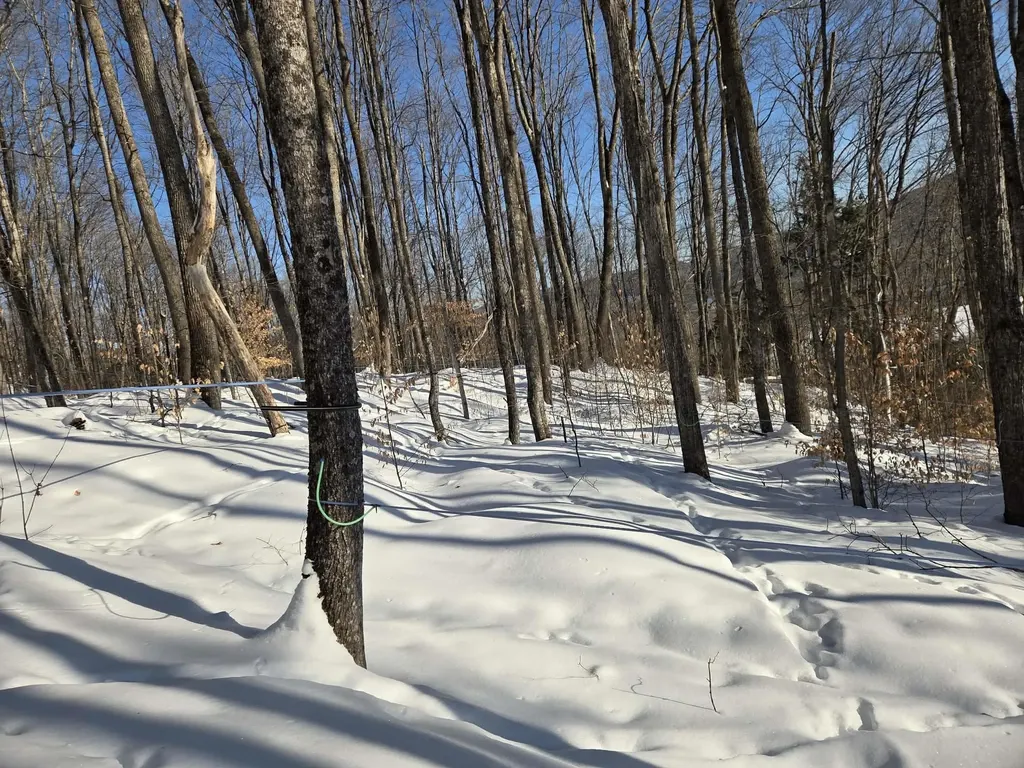 0 Route 66 Randolph VT 05060