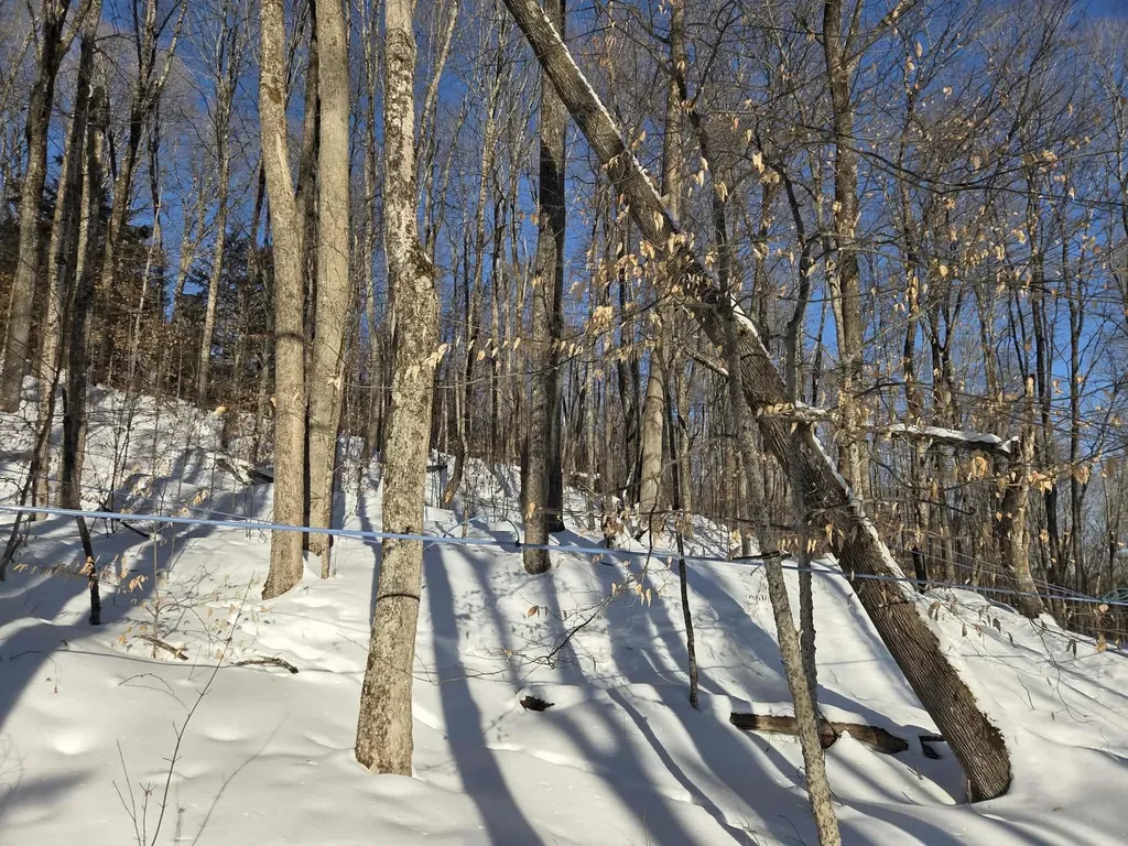 0 Route 66 Randolph VT 05060