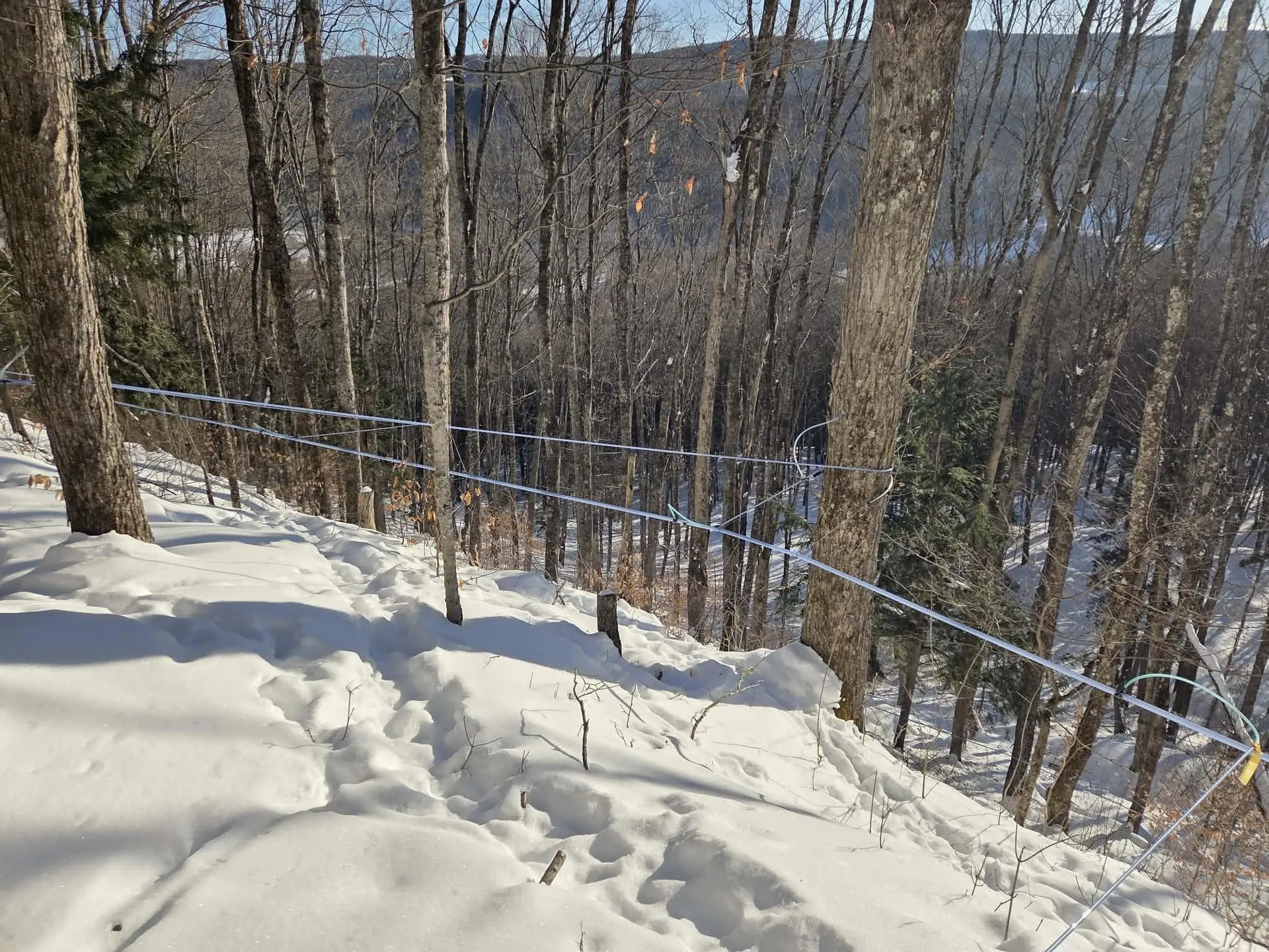 0 Route 66 Randolph VT 05060