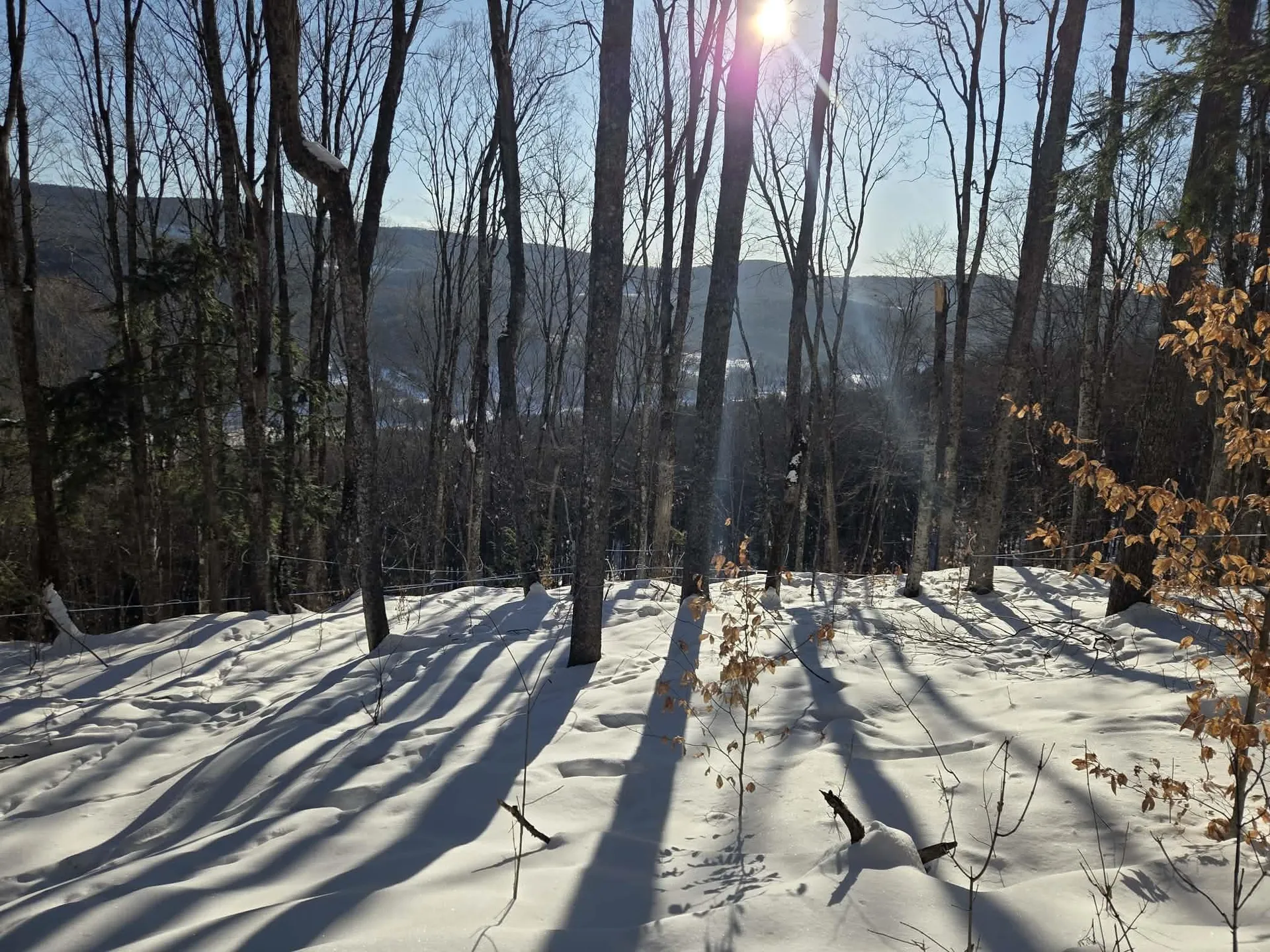 0 Route 66 Randolph VT 05060