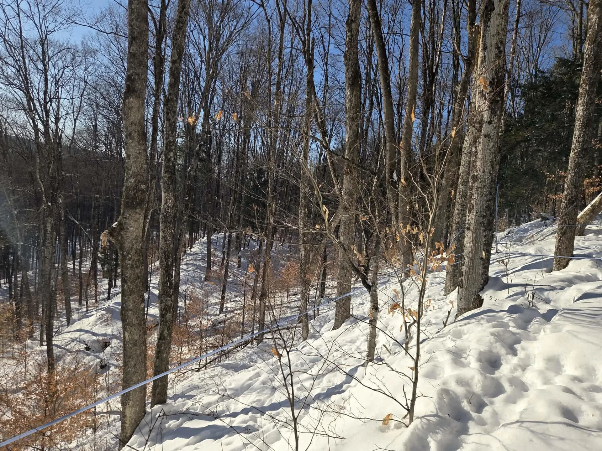 0 Route 66 Randolph VT 05060