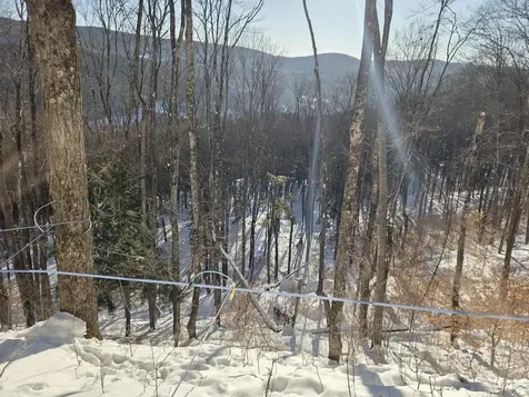 0 Route 66 Randolph VT 05060